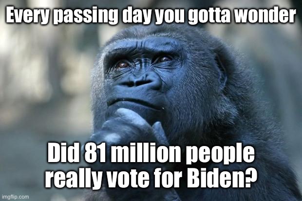 That man is just too old to be in office | Every passing day you gotta wonder; Did 81 million people really vote for Biden? | image tagged in deep thoughts | made w/ Imgflip meme maker