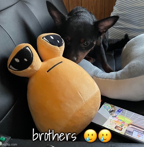 brothers 🥲🥲 | made w/ Imgflip meme maker