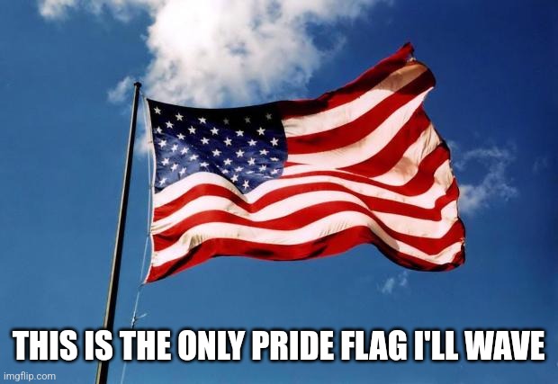 us flag | THIS IS THE ONLY PRIDE FLAG I'LL WAVE | image tagged in us flag,usa,patriotism,united states of america,maga,pride | made w/ Imgflip meme maker