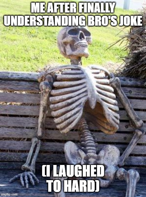 Waiting Skeleton Meme | ME AFTER FINALLY UNDERSTANDING BRO'S JOKE; (I LAUGHED TO HARD) | image tagged in memes,waiting skeleton | made w/ Imgflip meme maker
