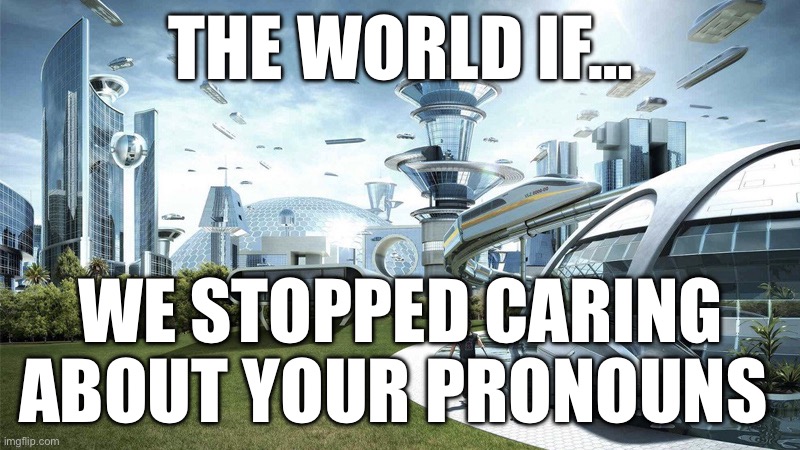 Pronouns | THE WORLD IF…; WE STOPPED CARING ABOUT YOUR PRONOUNS | image tagged in the future world if,first world problems,pronouns | made w/ Imgflip meme maker