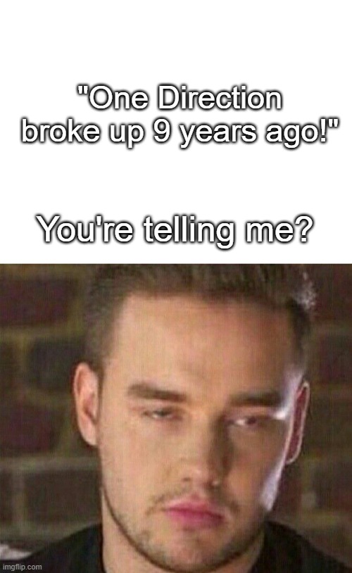 Liam Payne | "One Direction broke up 9 years ago!"; You're telling me? | image tagged in one direction,harry styles,niall horan,liam payne,zayn malik,one direction reunion | made w/ Imgflip meme maker