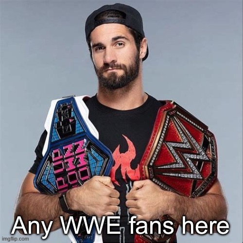 I miss talking about WWE and people actually caring | Any WWE fans here | image tagged in cool seth rollins | made w/ Imgflip meme maker