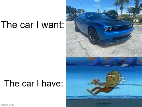 No car | The car I want:; The car I have: | image tagged in blank white template,car | made w/ Imgflip meme maker