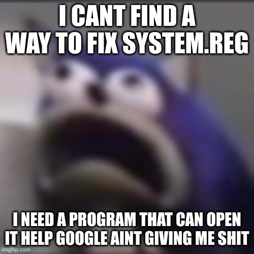 google fuck you in particular | I CANT FIND A WAY TO FIX SYSTEM.REG; I NEED A PROGRAM THAT CAN OPEN IT HELP GOOGLE AINT GIVING ME SHIT | image tagged in distress | made w/ Imgflip meme maker
