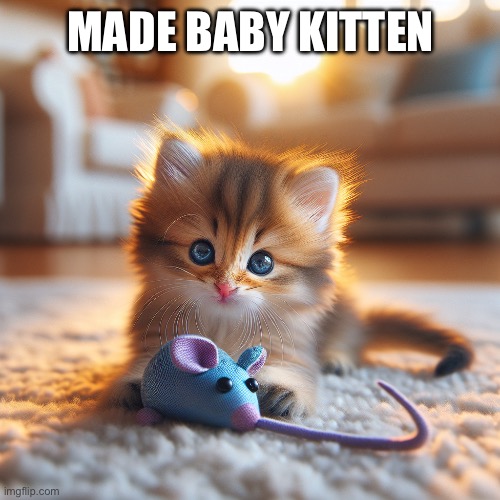 Yes | MADE BABY KITTEN | image tagged in kittens,kitten,cute kittens,cute kitten,cats,cat | made w/ Imgflip meme maker