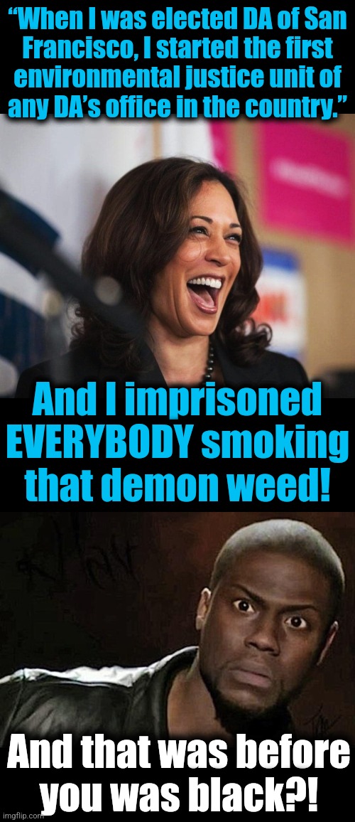 The diversity hyena, environmental crusader in San Francisco, because "racial justice" | “When I was elected DA of San
Francisco, I started the first
environmental justice unit of
any DA’s office in the country.”; And I imprisoned EVERYBODY smoking that demon weed! And that was before
you was black?! | image tagged in cackling kamala harris,memes,kevin hart,marijuana,environmental crusader,democrats | made w/ Imgflip meme maker