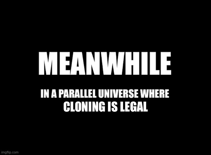 Meanwhile in a parallel universe | CLONING IS LEGAL | image tagged in meanwhile in a parallel universe | made w/ Imgflip meme maker