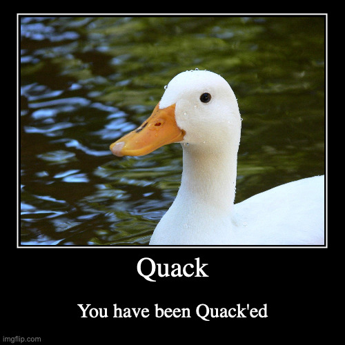 You have been Quack'ed | Quack | You have been Quack'ed | image tagged in funny,demotivationals | made w/ Imgflip demotivational maker