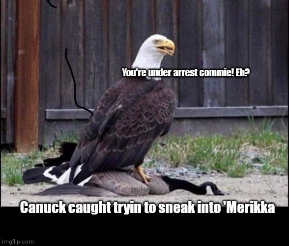 Canuck border jumper caught | You're under arrest commie! Eh? Canuck caught tryin to sneak into 'Merikka | image tagged in funny | made w/ Imgflip meme maker