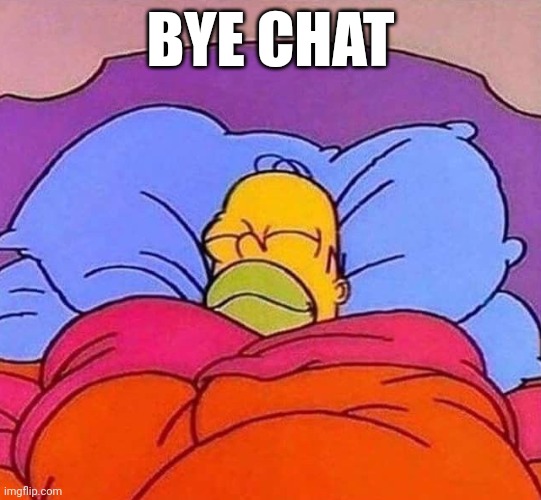 Homer Simpson sleeping peacefully | BYE CHAT | image tagged in homer simpson sleeping peacefully | made w/ Imgflip meme maker