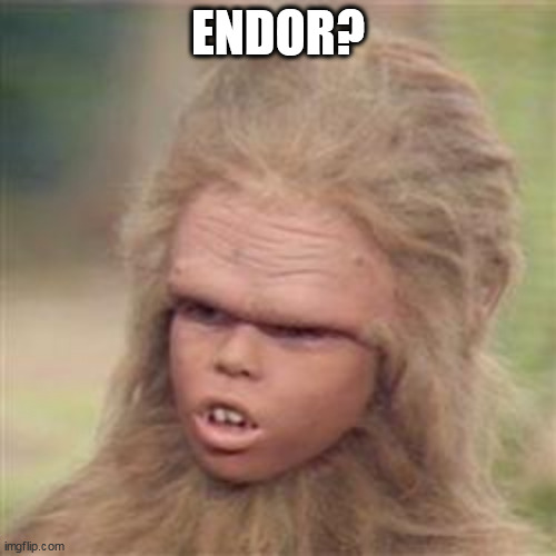 Chaka | ENDOR? | image tagged in chaka,endor,hairess tour | made w/ Imgflip meme maker