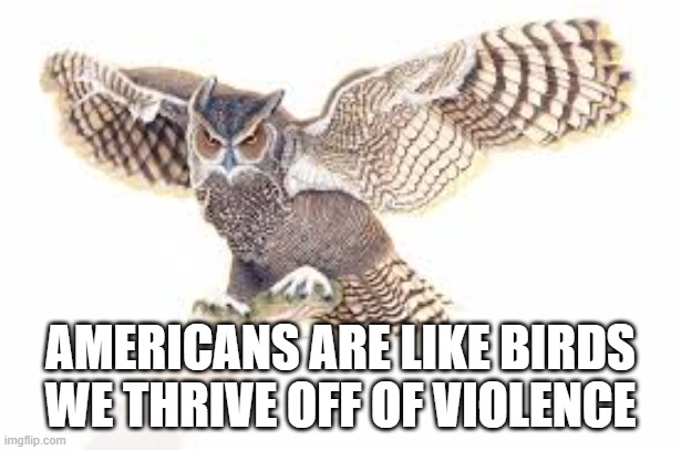 Am I Wrong? | AMERICANS ARE LIKE BIRDS WE THRIVE OFF OF VIOLENCE | image tagged in america,birds,violence | made w/ Imgflip meme maker