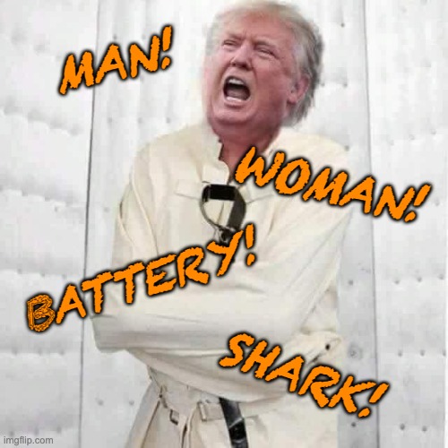 crazy trump | MAN! SHARK! WOMAN! BATTERY! | image tagged in crazy trump | made w/ Imgflip meme maker