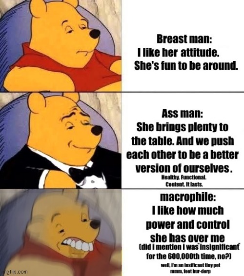 dudes, Men and the macrophiles (gts Pooh-Meme) | image tagged in giant,memes,cringe,everyday we stray further from god,winnie the pooh | made w/ Imgflip meme maker