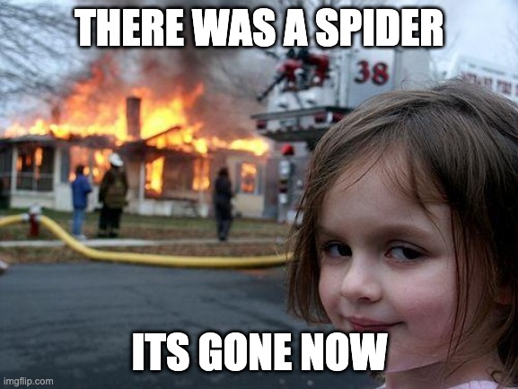 Disaster Girl Meme | THERE WAS A SPIDER; ITS GONE NOW | image tagged in memes,disaster girl | made w/ Imgflip meme maker