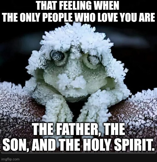 Frozen | THAT FEELING WHEN 
THE ONLY PEOPLE WHO LOVE YOU ARE; THE FATHER, THE SON, AND THE HOLY SPIRIT. | image tagged in dank,christian,memes,r/dankchristianmemes,frozen,frog | made w/ Imgflip meme maker