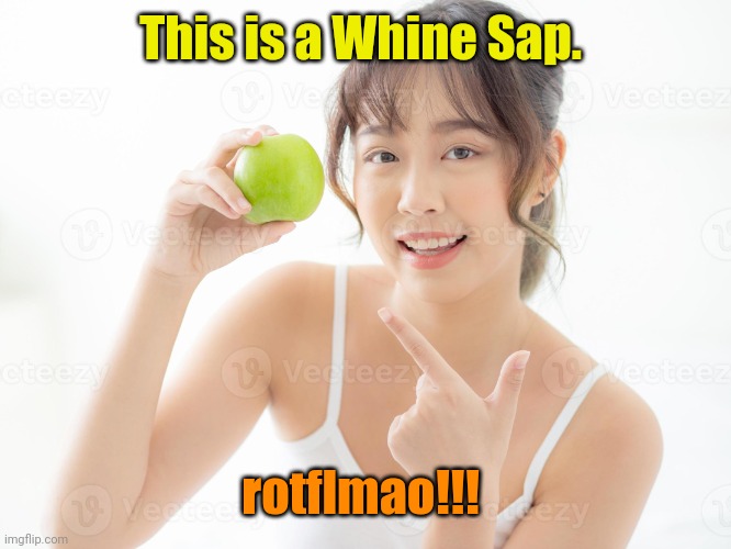 Asian girl | This is a Whine Sap. rotflmao!!! | image tagged in asian girl | made w/ Imgflip meme maker