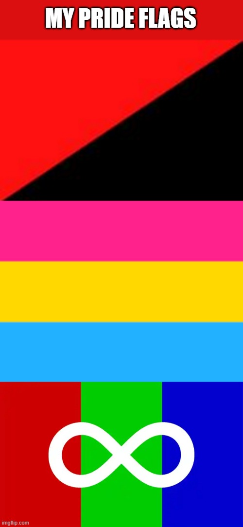 MY PRIDE FLAGS | image tagged in pansexual flag | made w/ Imgflip meme maker