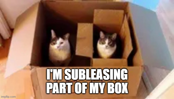 memes by Brad - My cat is subleasing his box | I'M SUBLEASING PART OF MY BOX | image tagged in funny,cats,kittens,box,funny cat memes,cute kittens | made w/ Imgflip meme maker