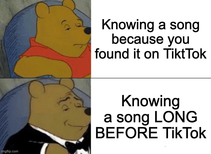 If you know, you most certainly know. | Knowing a song because you found it on TiktTok; Knowing a song LONG BEFORE TikTok | image tagged in memes,tuxedo winnie the pooh,tiktok,songs,music,social media | made w/ Imgflip meme maker