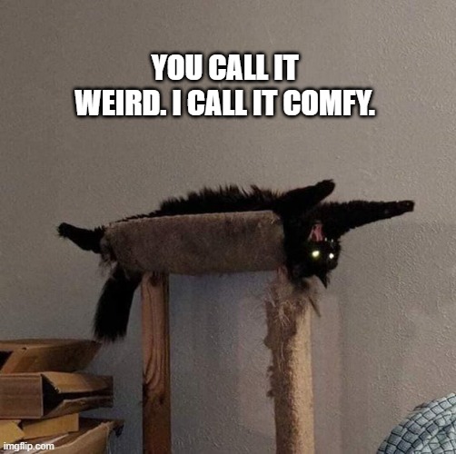 memes by Brad - My cat says he is comfy. | YOU CALL IT WEIRD. I CALL IT COMFY. | image tagged in funny,cats,kittens,funny cat memes,cute kitten,humor | made w/ Imgflip meme maker