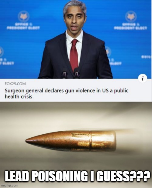 Surgeon General's Warning | LEAD POISONING I GUESS??? | image tagged in bullet | made w/ Imgflip meme maker