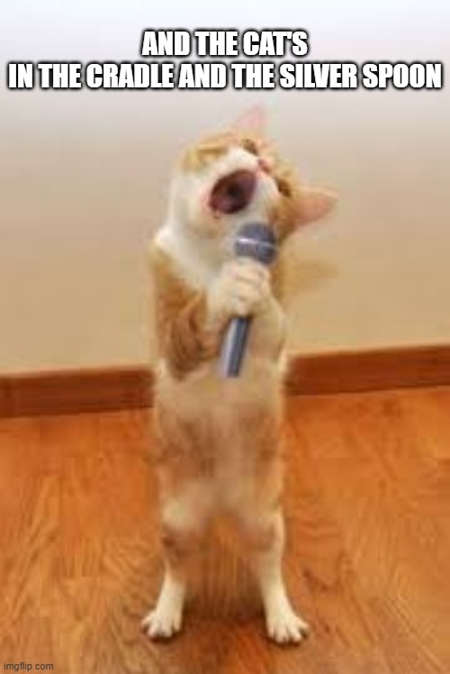 memes by Brad - My cat loves to sing | AND THE CAT'S IN THE CRADLE AND THE SILVER SPOON | image tagged in funny,cats,funny cat memes,kitten,cat singer,humor | made w/ Imgflip meme maker