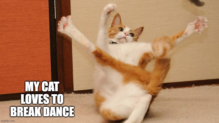 memes by Brad - My cat loves to break dance | MY CAT LOVES TO BREAK DANCE | image tagged in cats,funny,cute kitten,funny cat memes,kitten,humor | made w/ Imgflip meme maker