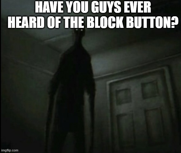 its a button you can click to not see the shit i say :D! thank me later | HAVE YOU GUYS EVER HEARD OF THE BLOCK BUTTON? | made w/ Imgflip meme maker