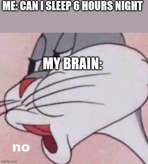 Stupid brain | ME: CAN I SLEEP 6 HOURS NIGHT; MY BRAIN: | image tagged in no bugs bunny,insomnia,no sleep,night | made w/ Imgflip meme maker