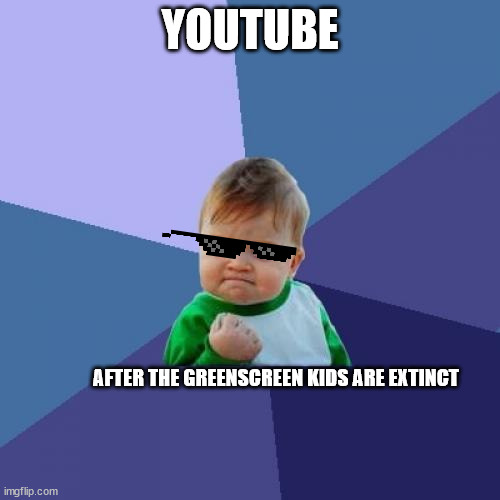 When youtube finally takes action | YOUTUBE; AFTER THE GREENSCREEN KIDS ARE EXTINCT | image tagged in memes,success kid | made w/ Imgflip meme maker