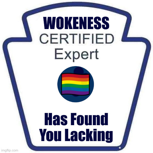 Facebook certified expert badge 1 | WOKENESS Has Found You Lacking | image tagged in facebook certified expert badge 1 | made w/ Imgflip meme maker