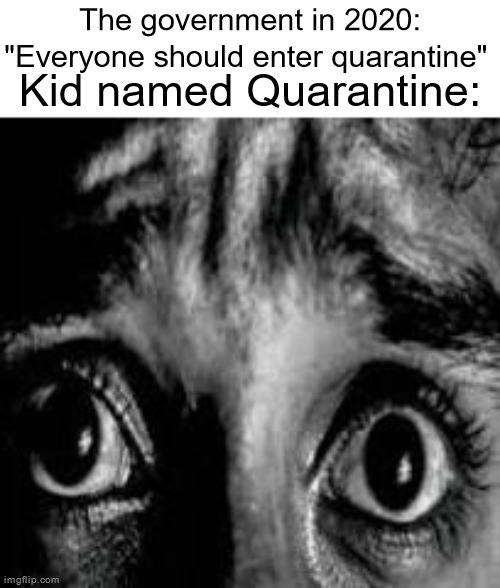 vro what | The government in 2020: "Everyone should enter quarantine"; Kid named Quarantine: | image tagged in vro what | made w/ Imgflip meme maker