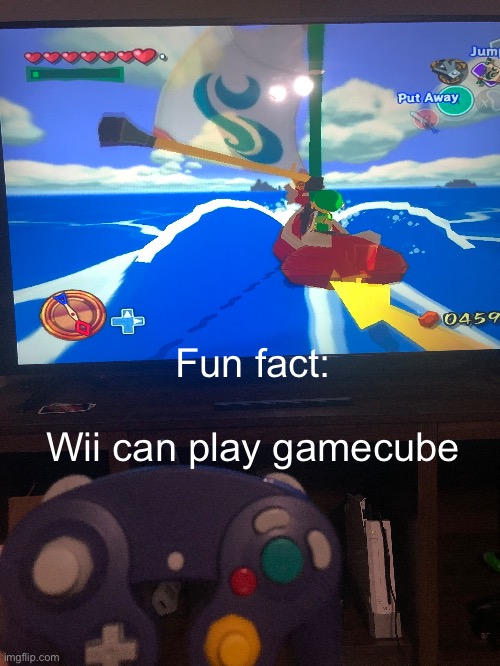 Fun fact:
 
Wii can play gamecube | made w/ Imgflip meme maker