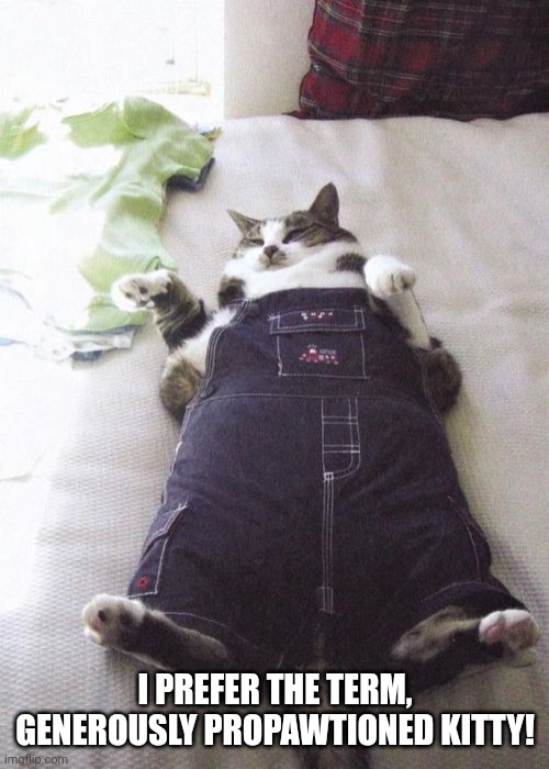 Fat Cat Meme | I PREFER THE TERM, GENEROUSLY PROPAWTIONED KITTY! | image tagged in memes,fat cat | made w/ Imgflip meme maker