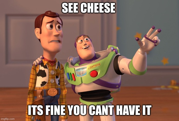 X, X Everywhere | SEE CHEESE; ITS FINE YOU CANT HAVE IT | image tagged in memes,x x everywhere | made w/ Imgflip meme maker