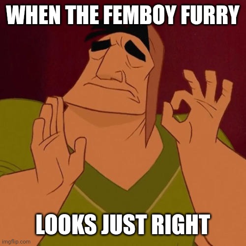 When X just right | WHEN THE FEMBOY FURRY LOOKS JUST RIGHT | image tagged in when x just right | made w/ Imgflip meme maker