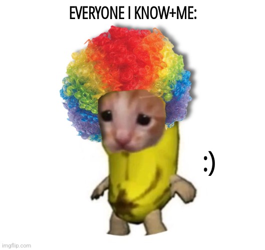 Clown cat | EVERYONE I KNOW+ME:; :) | image tagged in clown cat | made w/ Imgflip meme maker