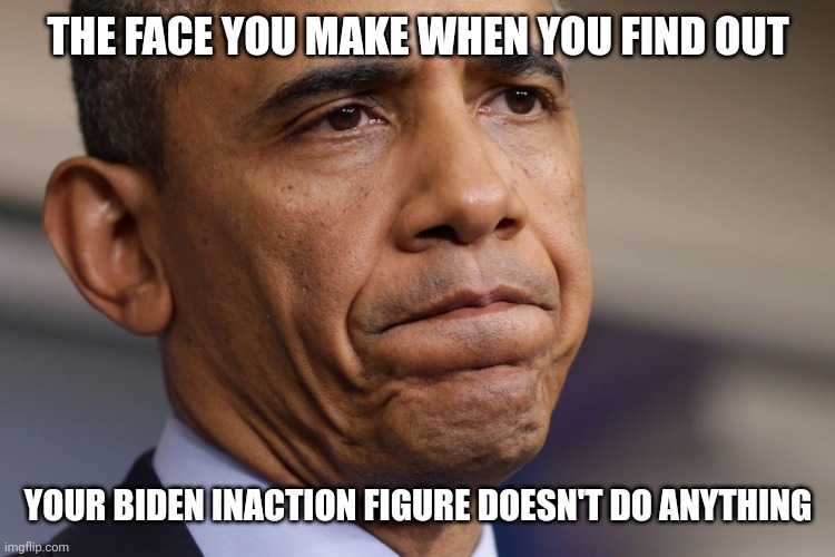 Obama Disappointment  | THE FACE YOU MAKE WHEN YOU FIND OUT YOUR BIDEN INACTION FIGURE DOESN'T DO ANYTHING | image tagged in obama disappointment | made w/ Imgflip meme maker