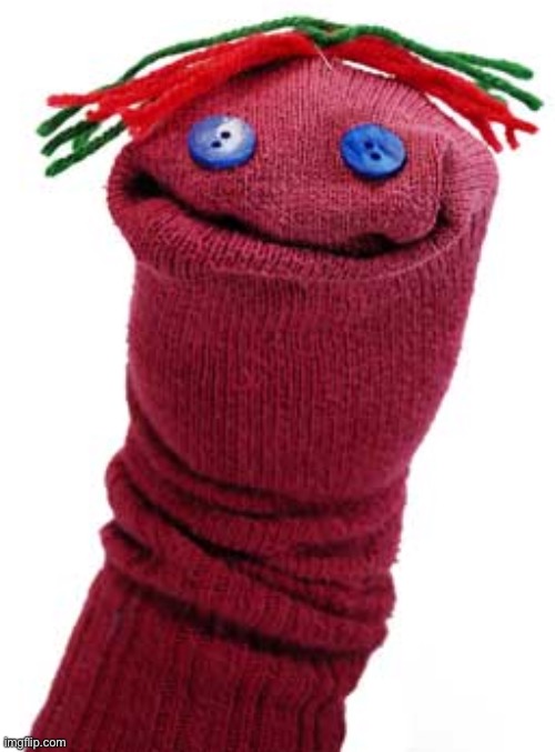 sockpuppet | image tagged in sockpuppet | made w/ Imgflip meme maker