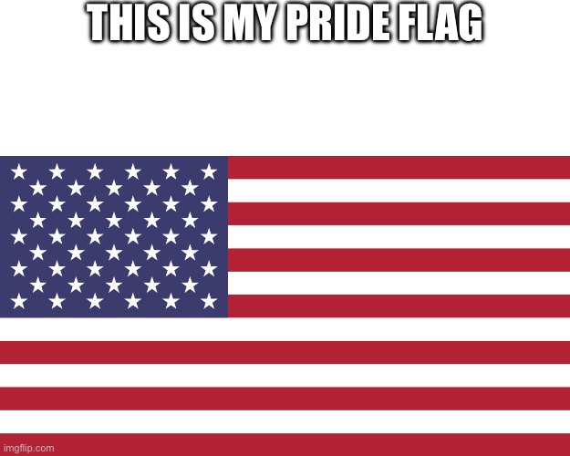 This is my Pride Flag | THIS IS MY PRIDE FLAG | image tagged in blank white template,american flag,god bless america | made w/ Imgflip meme maker