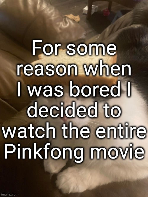 Hogi such a pussy | For some reason when I was bored I decided to watch the entire Pinkfong movie | image tagged in bread cat | made w/ Imgflip meme maker