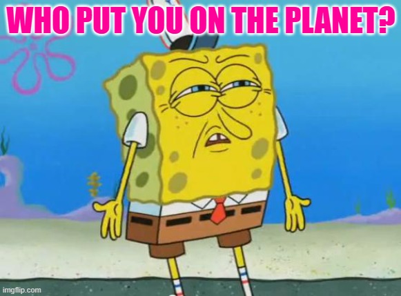 who put you on the planet? | WHO PUT YOU ON THE PLANET? | image tagged in angry spongebob | made w/ Imgflip meme maker