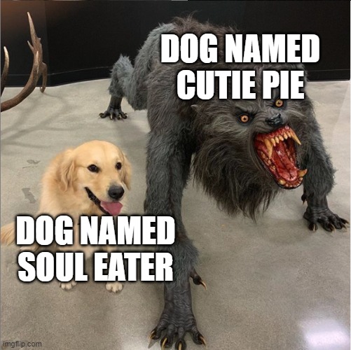 the dogs with the nicer names are the demonic ones. | DOG NAMED CUTIE PIE; DOG NAMED SOUL EATER | image tagged in dog vs werewolf,memes,funny,dog,werewolf | made w/ Imgflip meme maker