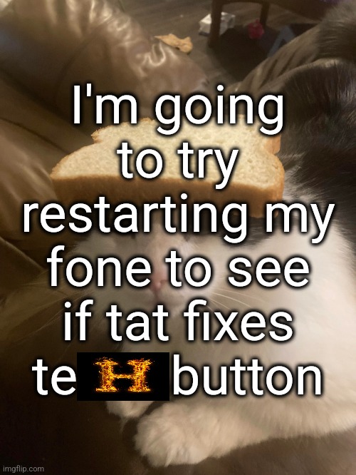 bread cat | I'm going to try restarting my fone to see if tat fixes te       button | image tagged in bread cat | made w/ Imgflip meme maker