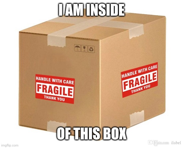 Not exactly furry related but needs to be said. | I AM INSIDE; OF THIS BOX | image tagged in fragile,me,relatable | made w/ Imgflip meme maker