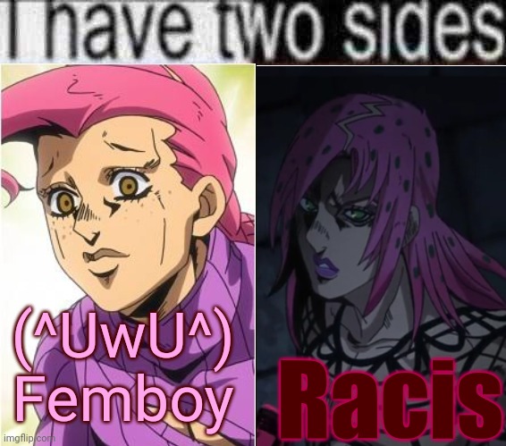 I have two sides | (^UwU^)
Femboy Racis | image tagged in i have two sides | made w/ Imgflip meme maker