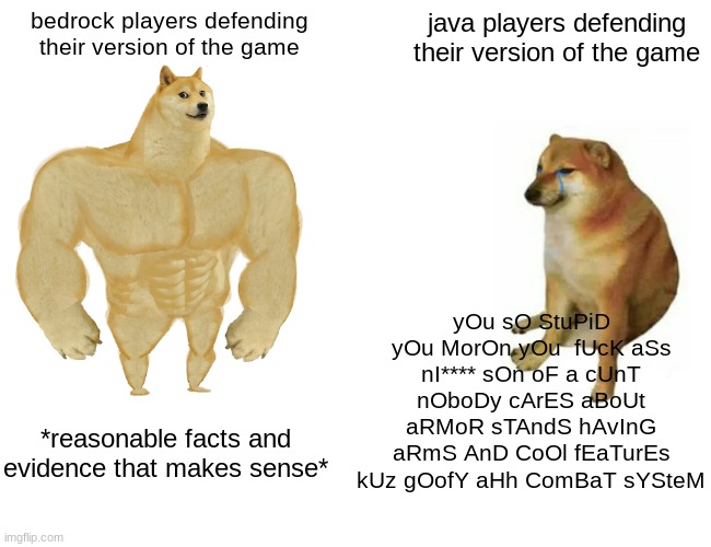 bedrock is better you have no exuse | bedrock players defending their version of the game; java players defending their version of the game; yOu sO StuPiD yOu MorOn yOu  fUcK aSs nI**** sOn oF a cUnT nOboDy cArES aBoUt aRMoR sTAndS hAvInG aRmS AnD CoOl fEaTurEs kUz gOofY aHh ComBaT sYSteM; *reasonable facts and evidence that makes sense* | image tagged in hgb,n,hbgv,nb,hgvf,cnb | made w/ Imgflip meme maker