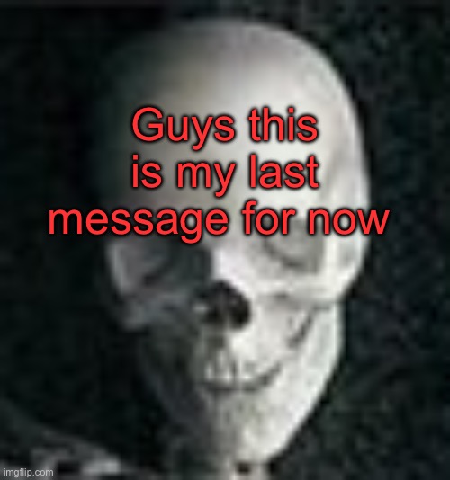 Skull | Guys this is my last message for now | image tagged in skull | made w/ Imgflip meme maker